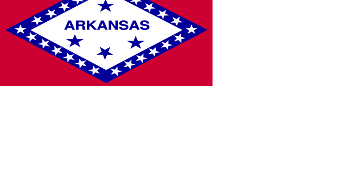 2024 Arkansas election season under way - Vimarsana News