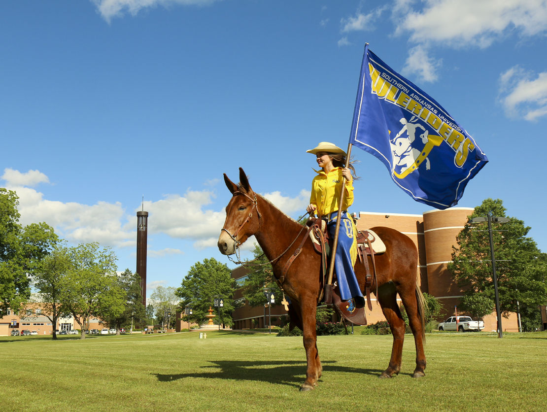 1,875 college nicknames, mapped and charted - Banner Society