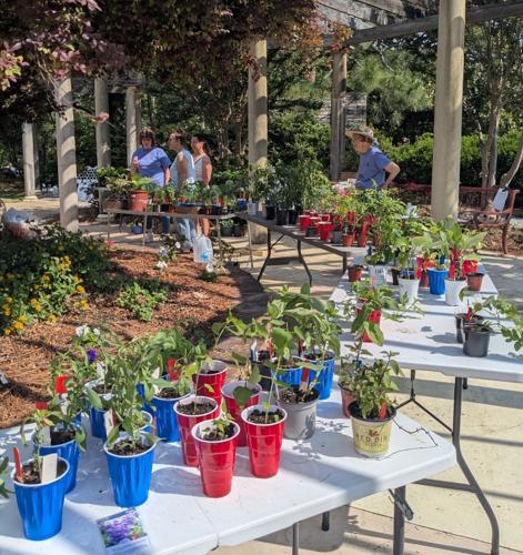 Master Gardeners hope to grow Columbia County organization