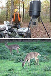 Are Deer Feeders A Good Thing Or A Bad Thing Expert Answers