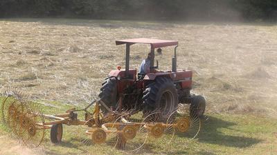 Planning Helps Preserve Wildlife In Arkansas Hayfields Outdoors Magnoliareporter Com