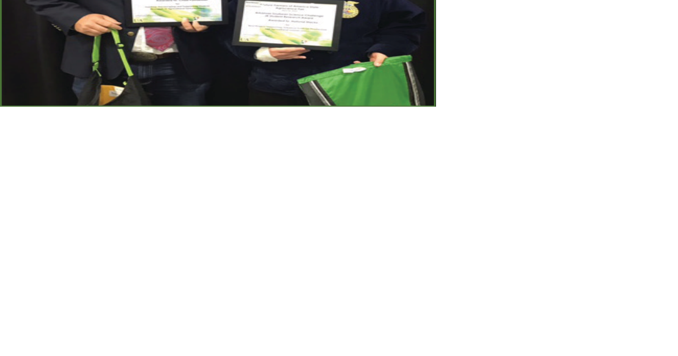Students from Emerson and Taylor 2023 Soybean Scholars - Vimarsana News