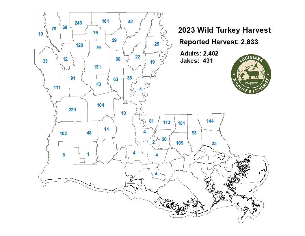 Louisiana Parish Map