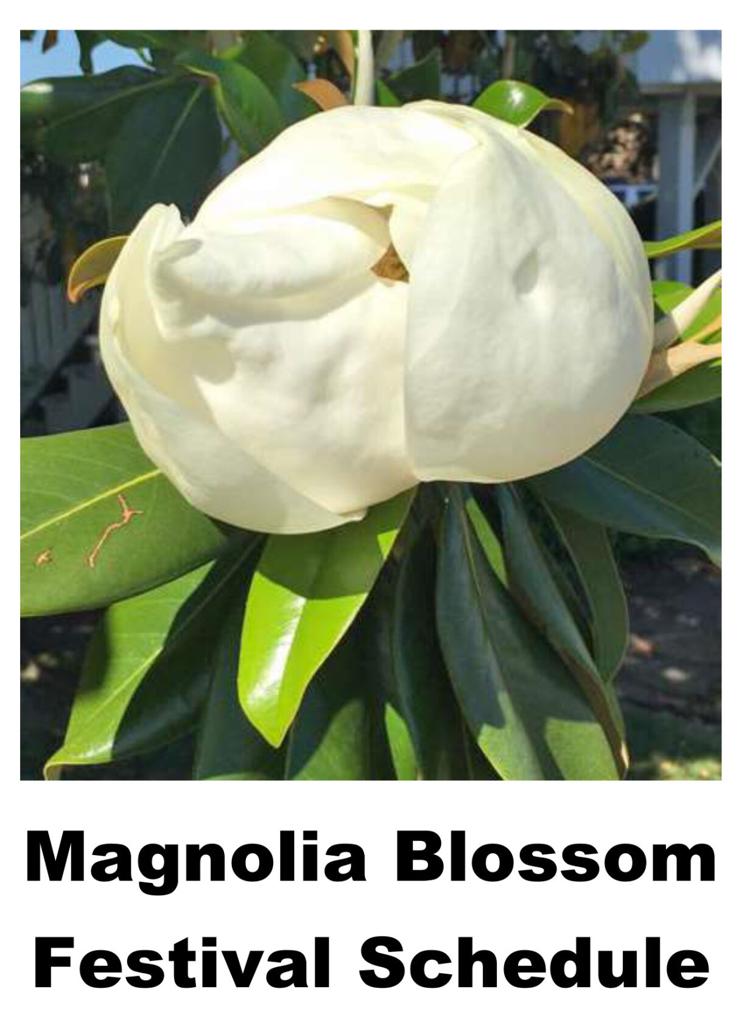 2024 Magnolia Blossom Festival Schedule of Events Festivals