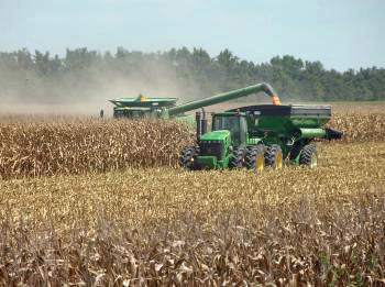 Arkansas corn production should be higher in 2020 | Business ...