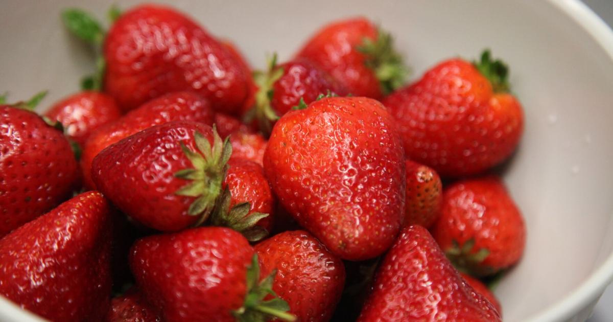Extension to host Berry Sweet Business food preservation workshop as part of Preserving Arkansas Summer Series | Education Extension to host Berry Sweet Business food preservation workshop as part of Preserving Arkansas Summer Series | Education