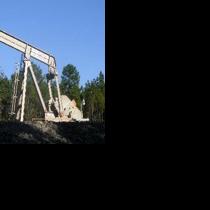 Oil and Gas: Wildcat oil well reissued for Plainfield area - Vimarsana News