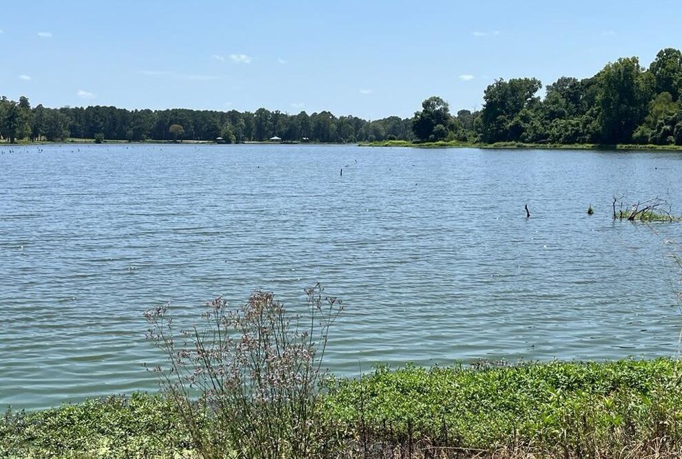 Algai bloom affects Lake June in Stamps