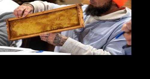 Louisiana AgCenter brings beekeeping lessons to state prison staff, inmates - Vimarsana News