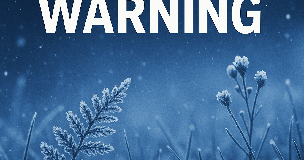 Magnolia Three-Day Weather/Sky Forecast: Freeze warning