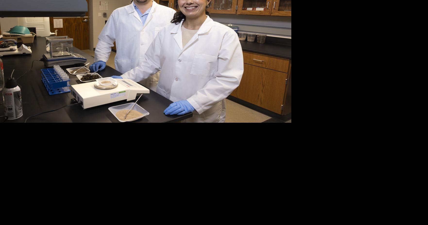 Study shows insect farming byproduct boosts soil health, reduces crop damage