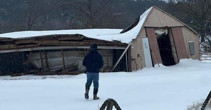 Arkansas poultry houses, farm structures bear brunt of heavy snowfall