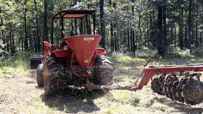 Wildlife Food Plots Taking Root On Public Land In Arkansas Outdoors Magnoliareporter Com