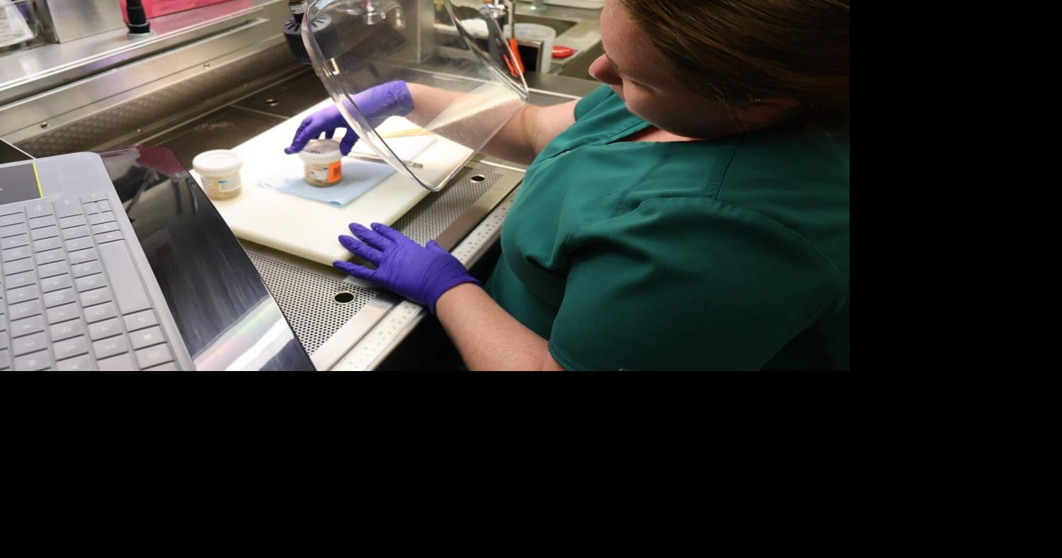 Lab in Louisiana is a hub for chronic wasting disease research detection