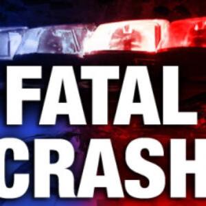 Passenger dies in Louisiana wreck, Arkansas driver hurt - Vimarsana News
