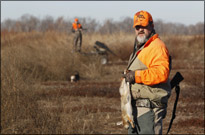 Rabbit hunting season has opened in Arkansas | Individual and Team ...