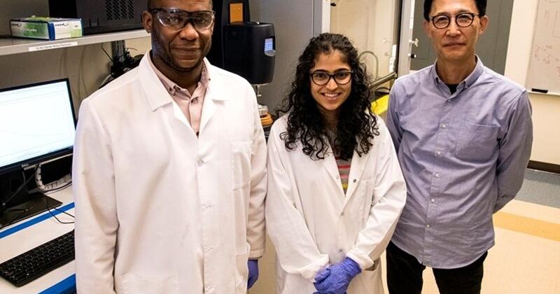 U of A startup CelluDot wins statewide innovation award - Vimarsana News