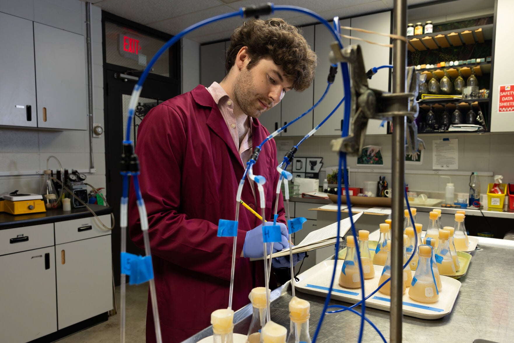 Fermentation science may offer new route to better lower-alcohol wine