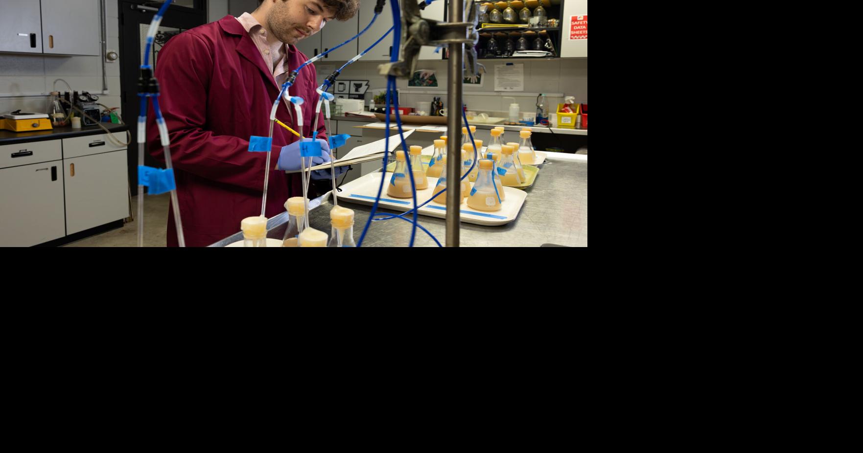 Fermentation science may offer new route to better lower-alcohol wine