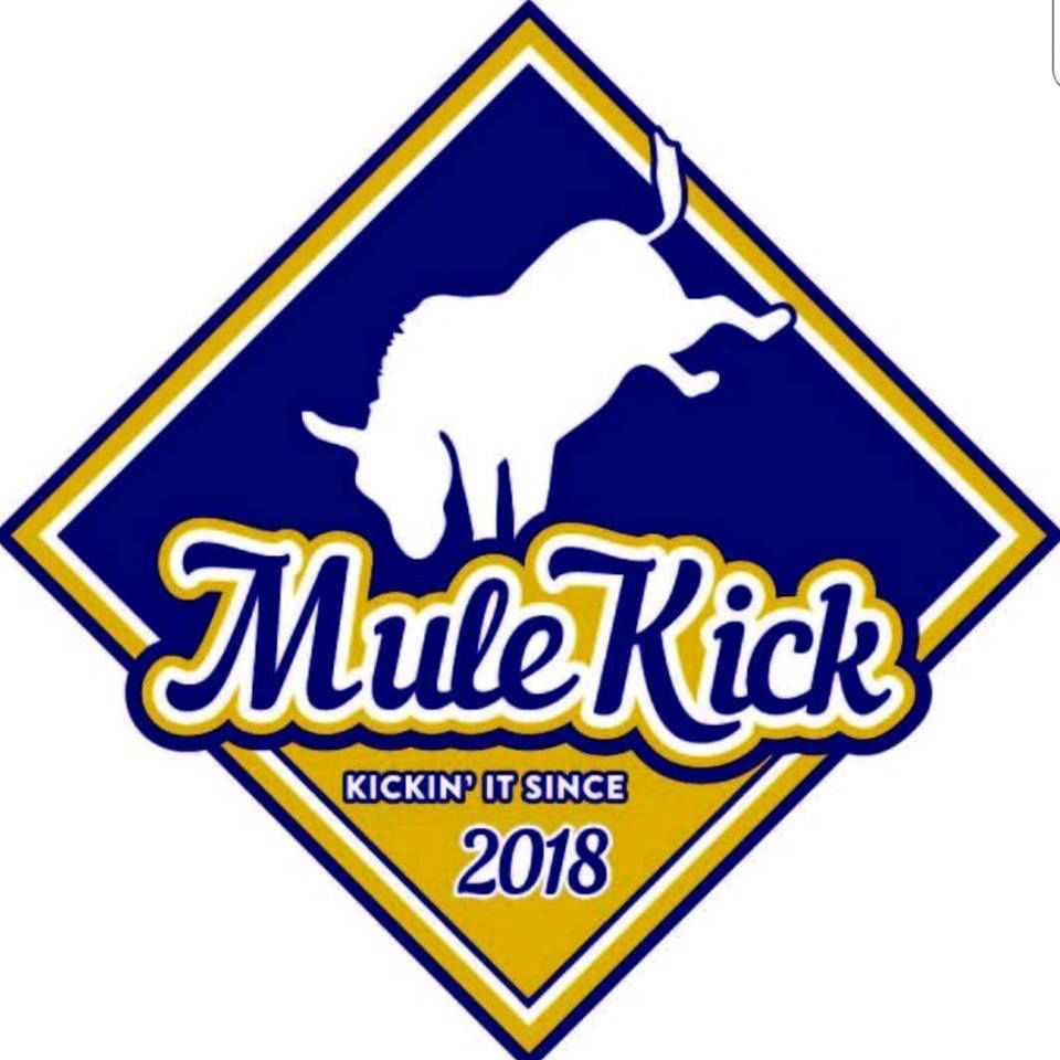 Mule Kick plans new entertainment and food experience for North Jackson ...