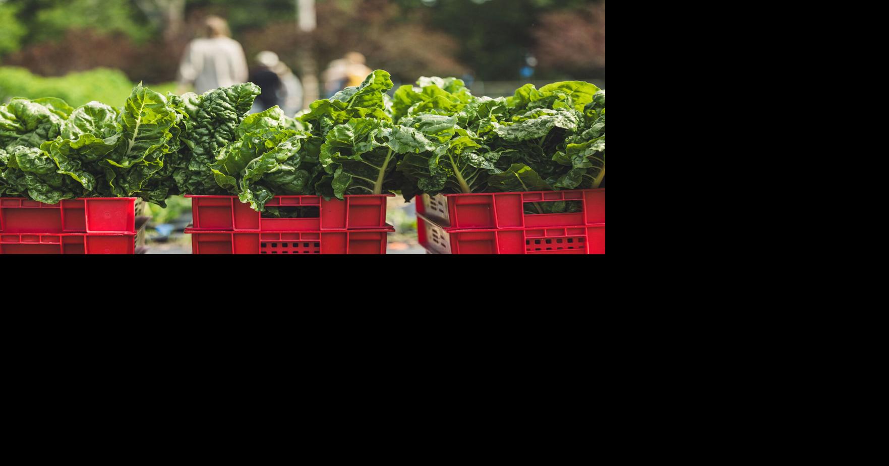 Calling aspiring farmers: UADA Farm School program open for ...