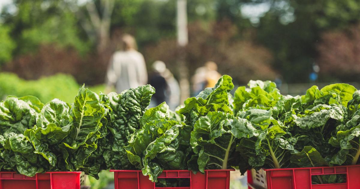 Calling aspiring farmers: UADA Farm School program open for ...