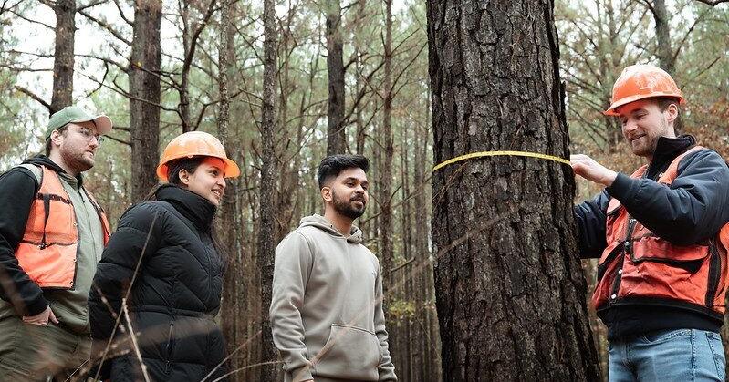 UAM to offer doctorate in forest resources