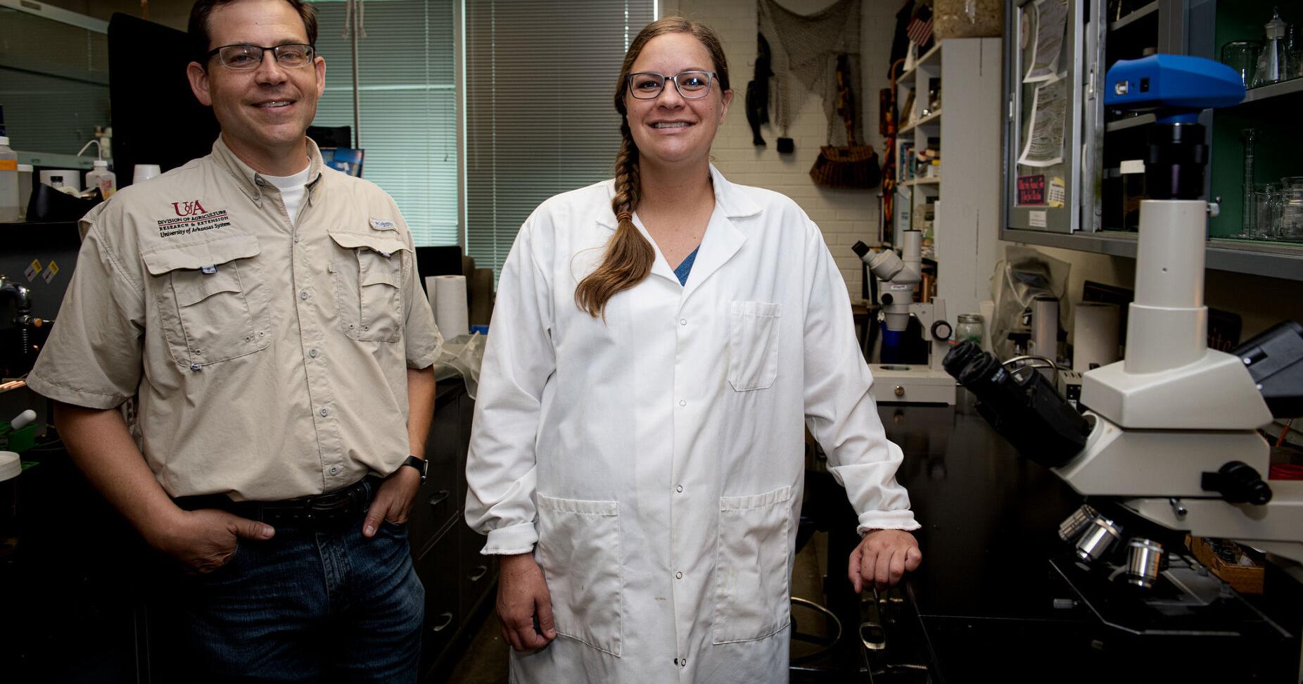 Antiparasitic resistance widespread in parasites that infect Arkansas cattle - Vimarsana News