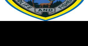 Three men face deer hunting violations in Webster Parish - Vimarsana News