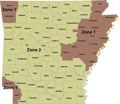 Arkansas aims to reverse decline in wild turkey population | Outdoors ...