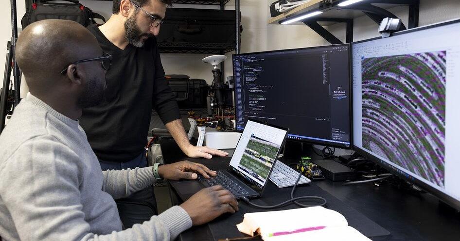 Can drones offer a faster, more precise way to measure blackberry flowering?