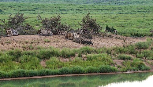 Biologists prepare fish habitat for future Lake Monticello