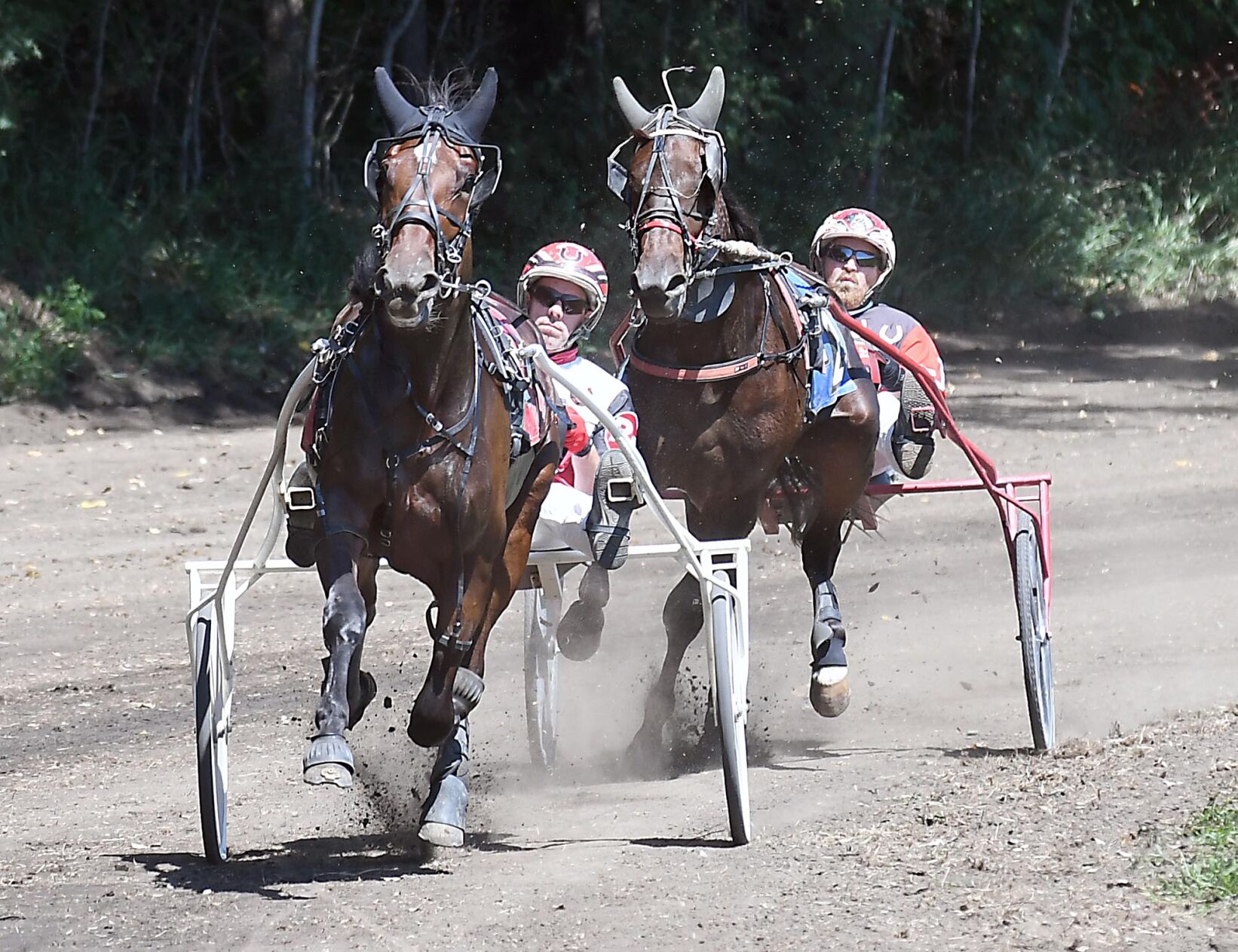 Madeline zak harness 2025 racing