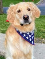 28-Windsor-Diane Rauchman (1).JPG