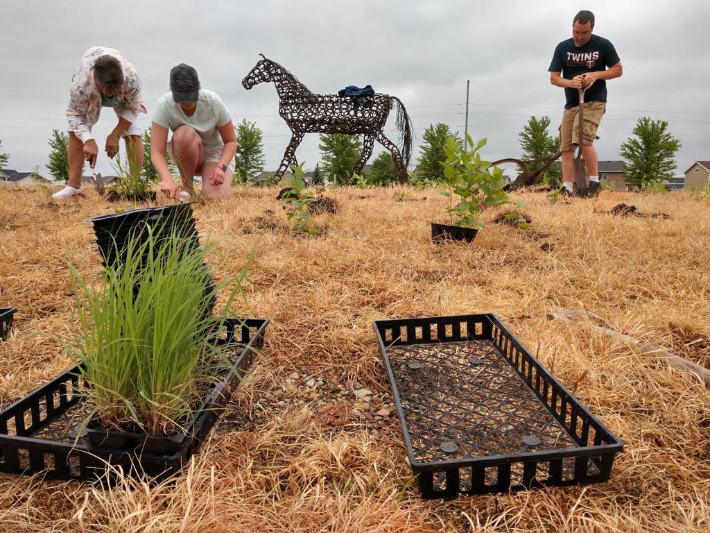 Volunteers make Benson Park a hive of pollinator planting ...