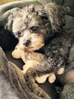 41-Milo-Nicole Black (2).jpg