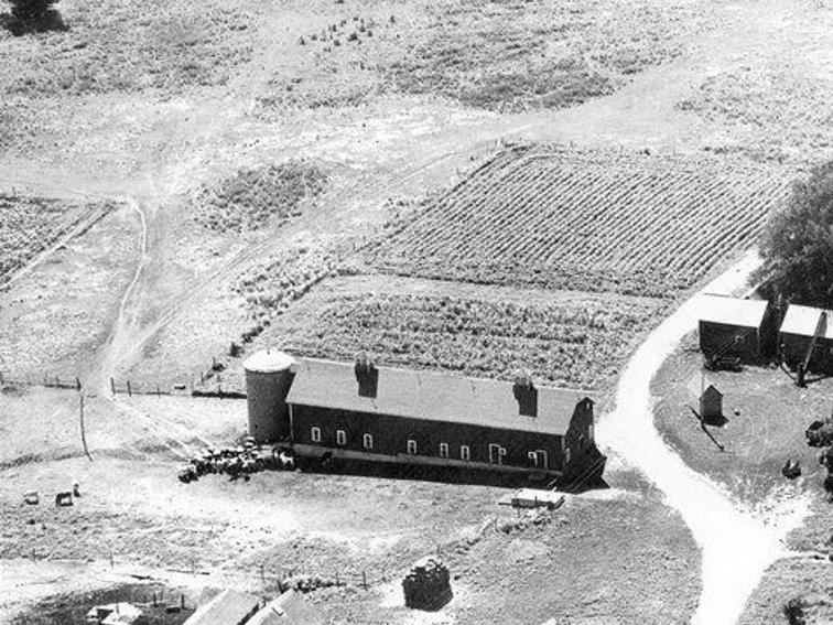 Nicollet Co.'s Poor Farm housed destitute | Local News |  mankatofreepress.com
