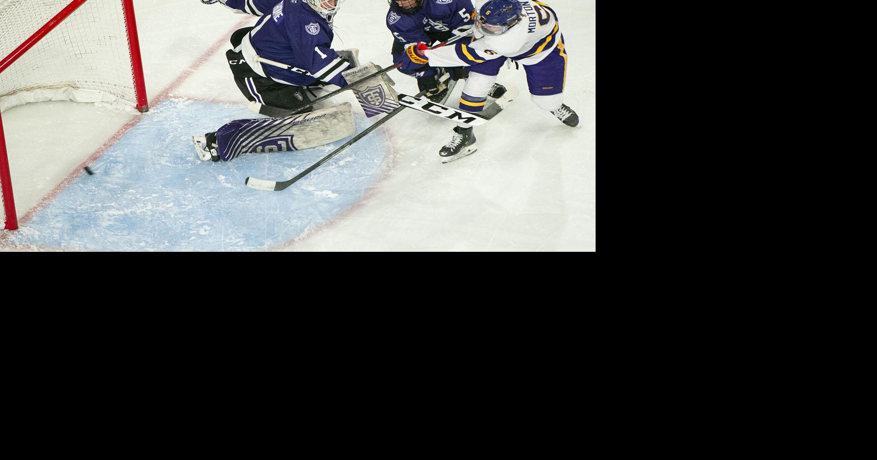 UPDATE (Video) MSU hockey opens CCHA tournament with victory over