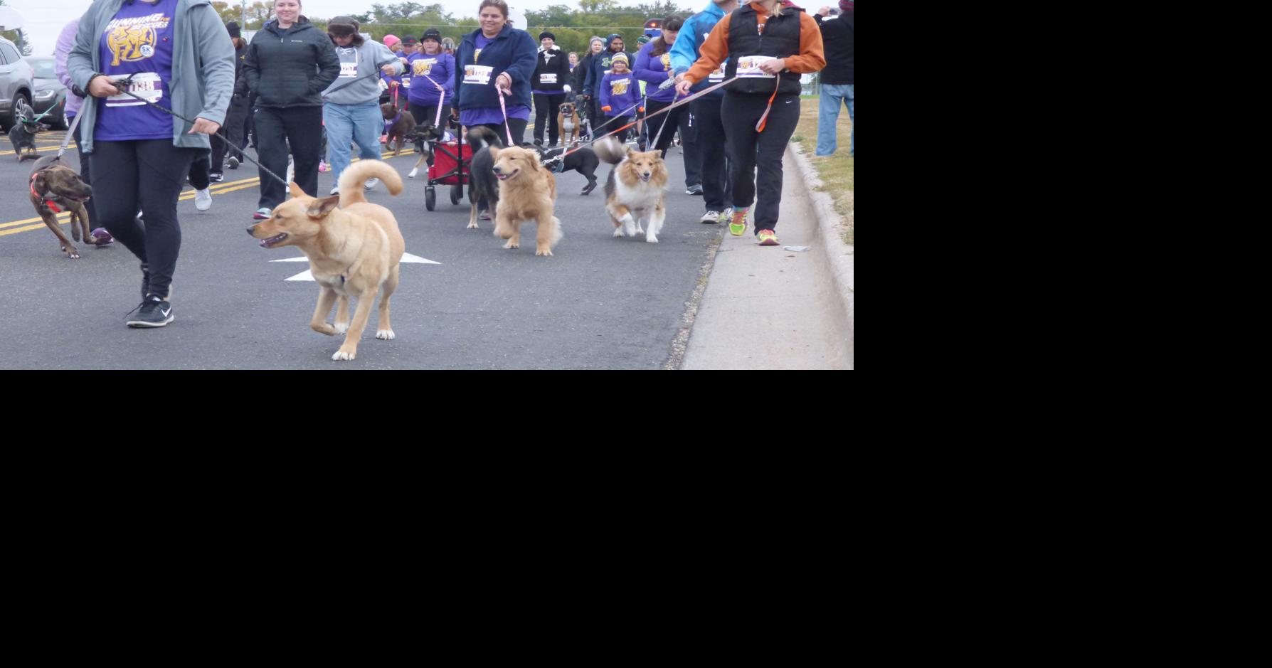 Running for rescue animals Over 300 and their dogs run to benefit BENCHS Local News
