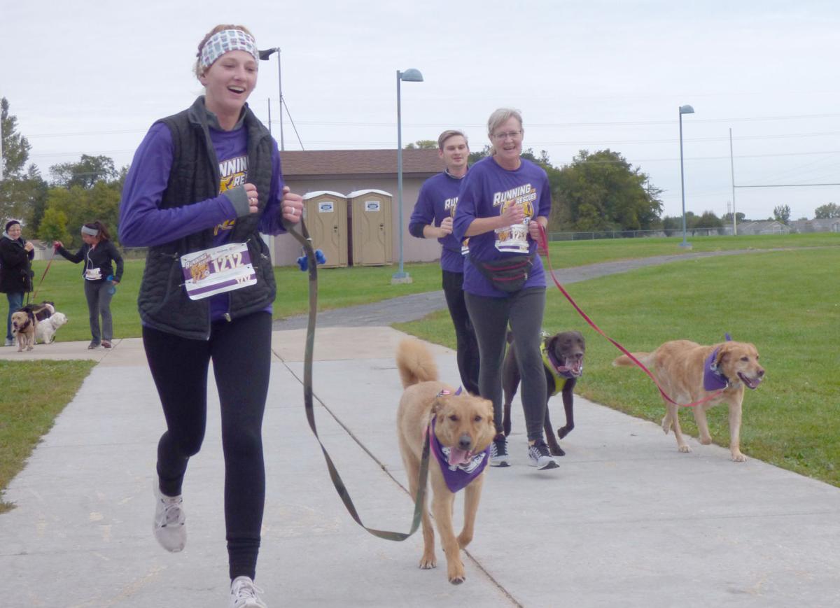 Running for rescue animals Over 300 and their dogs run to benefit