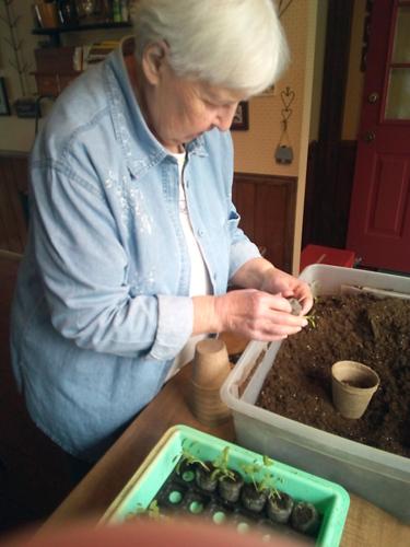 Gardening enthusiasts prepping for planting | Local News ...