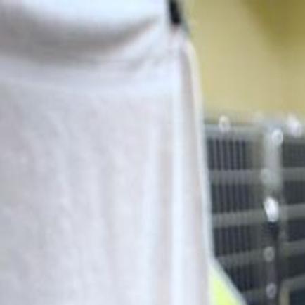 Foster Families Needed To Care For Kittens Cats Local News
