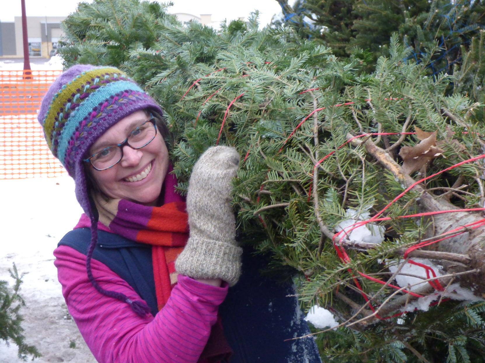 Y S Club Holds Christmas Tree Sale Local News Mankatofreepress Com