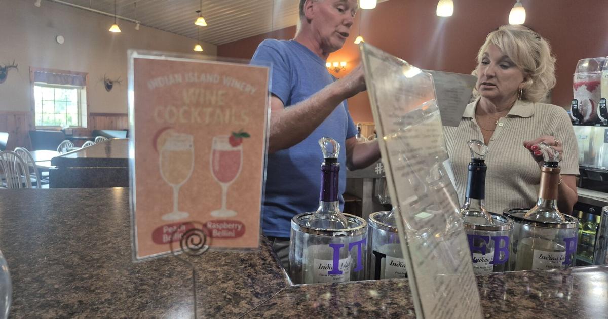 Minnesota Wine Day draws locals to area wineries
