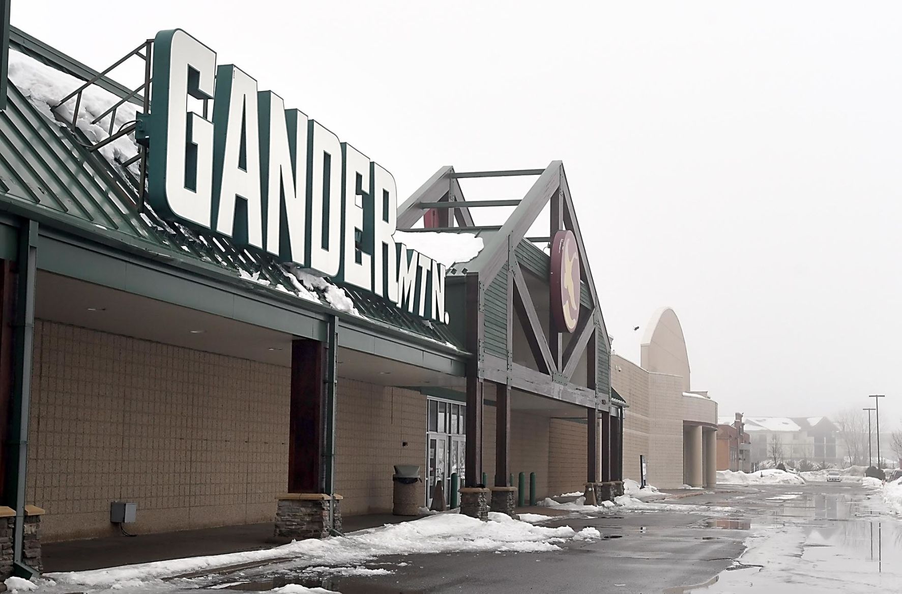 gander mountain north face