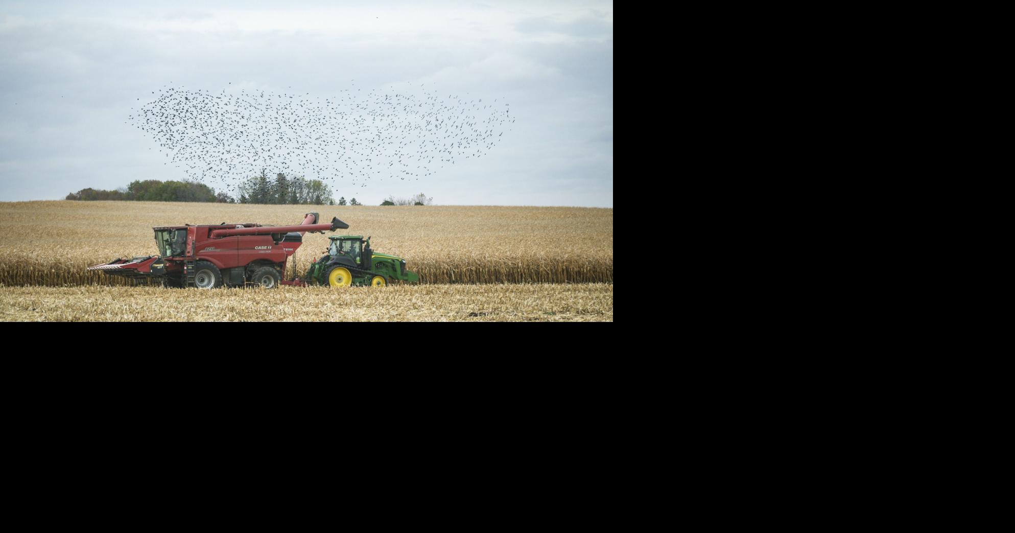 Despite near-record crop, farmers pessimistic about economic outlook