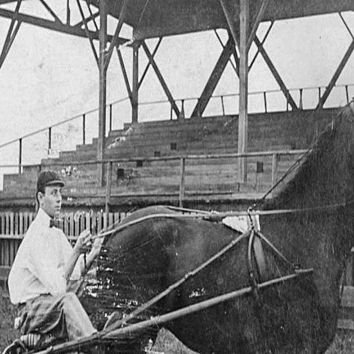 Horse And Carriage Crossword