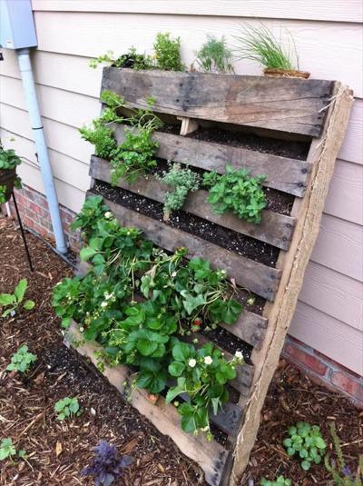 Put Your Leftover Fireplace Ash In The Garden Lifestyles