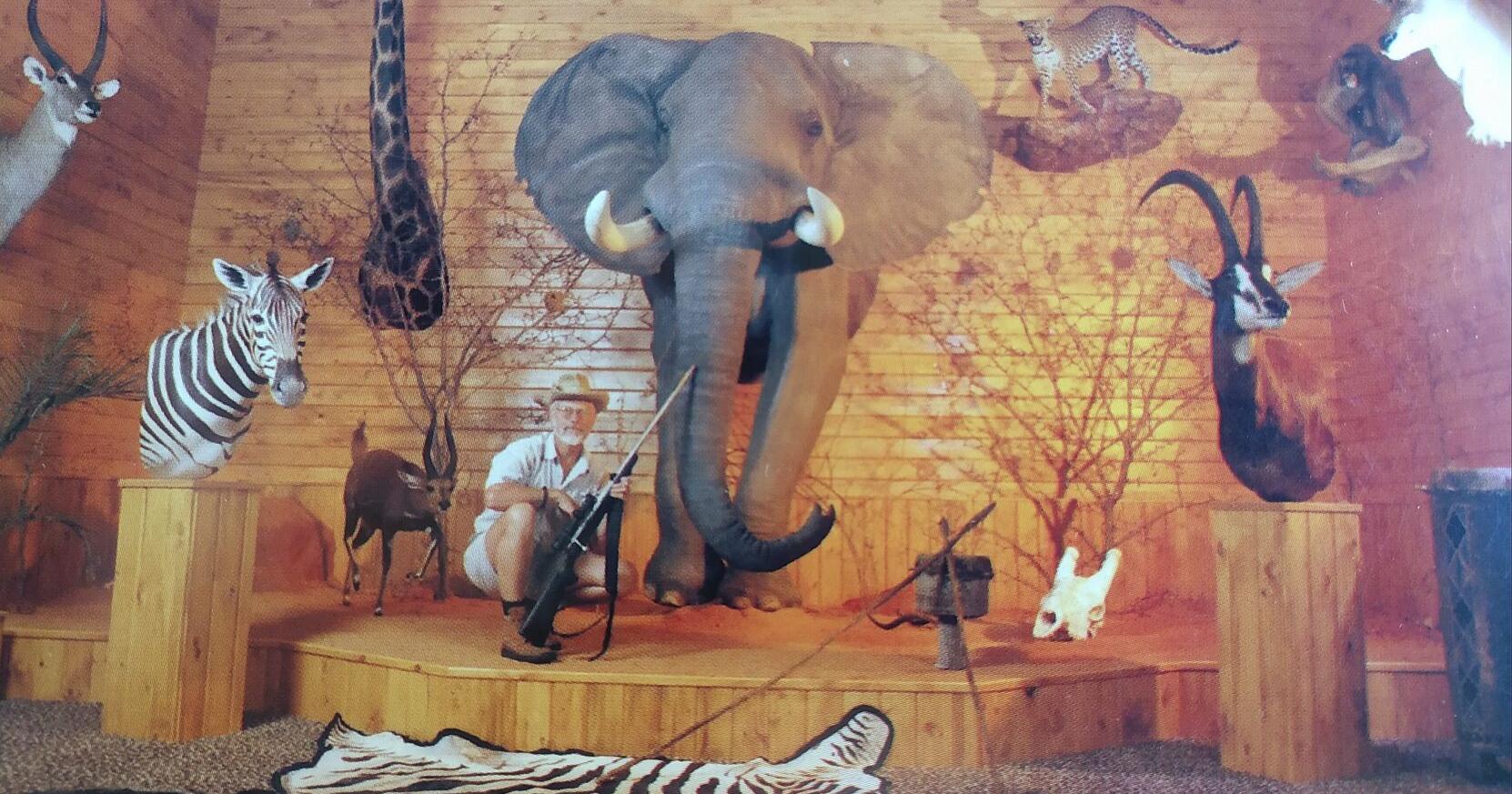 Ask Us: South Bend had a herd of African animals - Vimarsana News