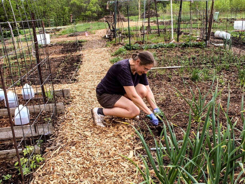 Community garden nonprofit now manages county farm | Local ...